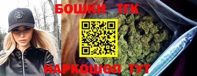 индика Партизанск