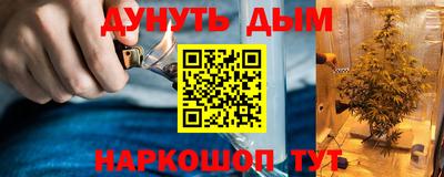 гашик Пенза