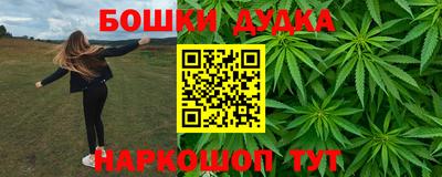 индика Партизанск